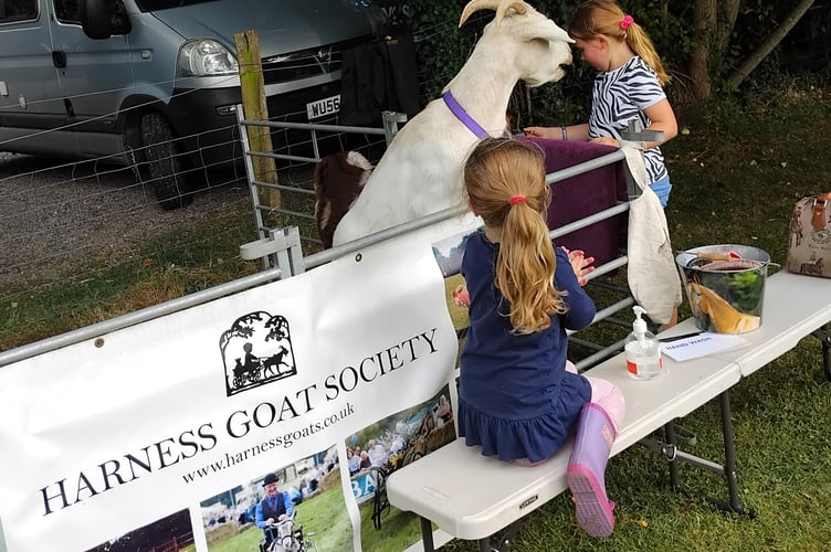 Youngsters had the chance to meet the goats at Chewton Mendip Fete