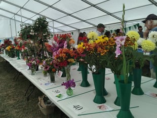 Tea tent so popular it ran out of cake during flower show