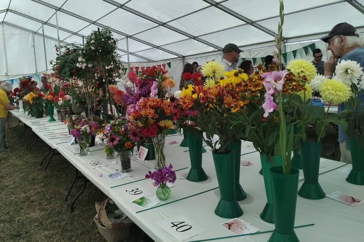 Some of the magnificent floral displays at Clutton Flower Show