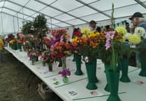 Tea tent so popular it ran out of cake during flower show