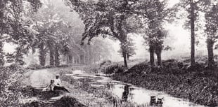 Can you solve this week's Mystery Photograph challenge?