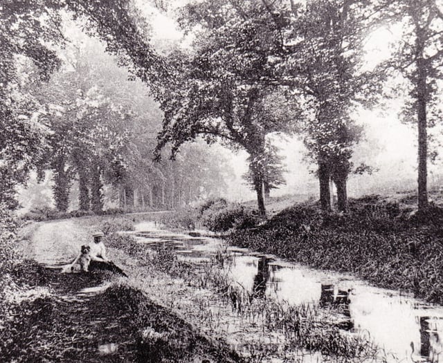 Can you solve this week's Mystery Photograph challenge?