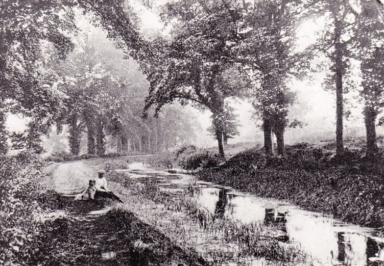 Can you solve this week's Mystery Photograph challenge?