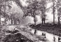 Can you solve this week's Mystery Photograph challenge?