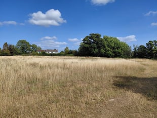 Appeal to build homes on Packsaddle Fields dismissed