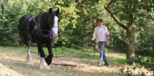 Woodland project in memory of Moko Sellars