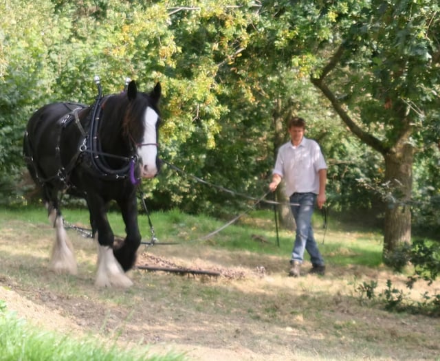 Woodland project in memory of Moko Sellars