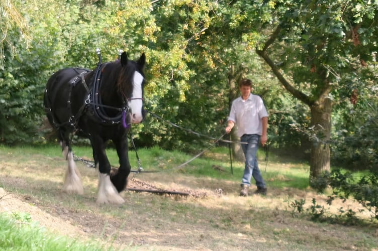 A new two-acre community woodland in Frome is set to proceed after raising £25,000 through crowdfunding.