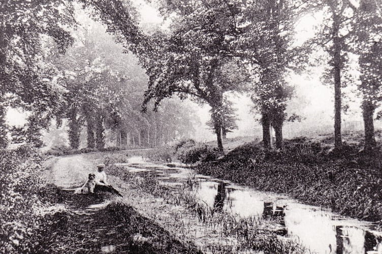 Last week's photo was taken at the Somersetshire Coal Canal at Radford