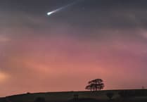 See Comet Lemmon over Mendip Hills