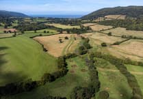 More green space in Wells and Mendip Hills than English average