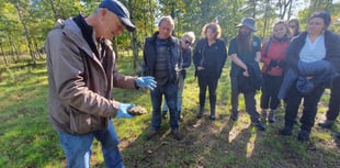 Chew Valley Plants Trees: More trees needed than we have ever known