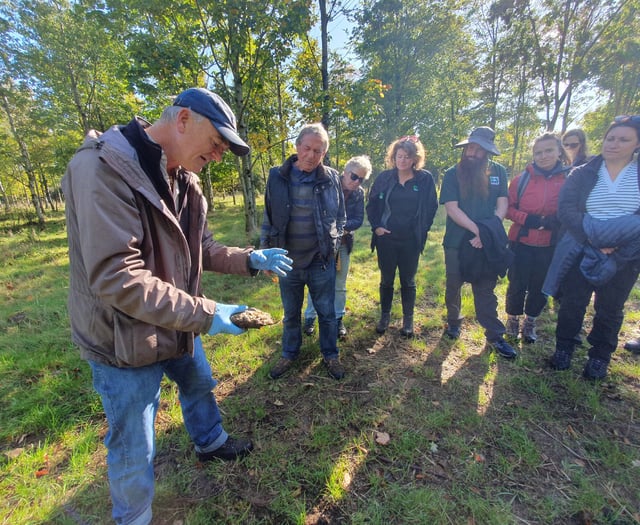 Chew Valley Plants Trees: More trees needed than we have ever known