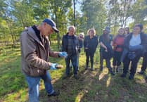 Chew Valley Plants Trees: More trees needed than we have ever known