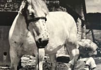 Les Davies MBE shares a lifetime on the Mendips