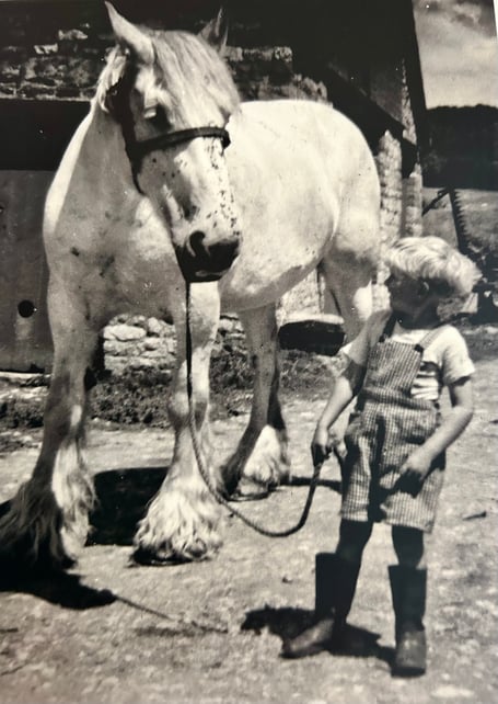A young Les Davies, aged four, holding Flower, the last working horse on the family farm, in June 1956.