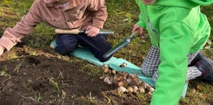 Frome acquires 57 green spaces