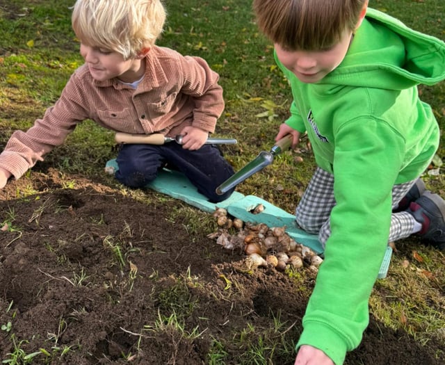 Frome acquires 57 green spaces