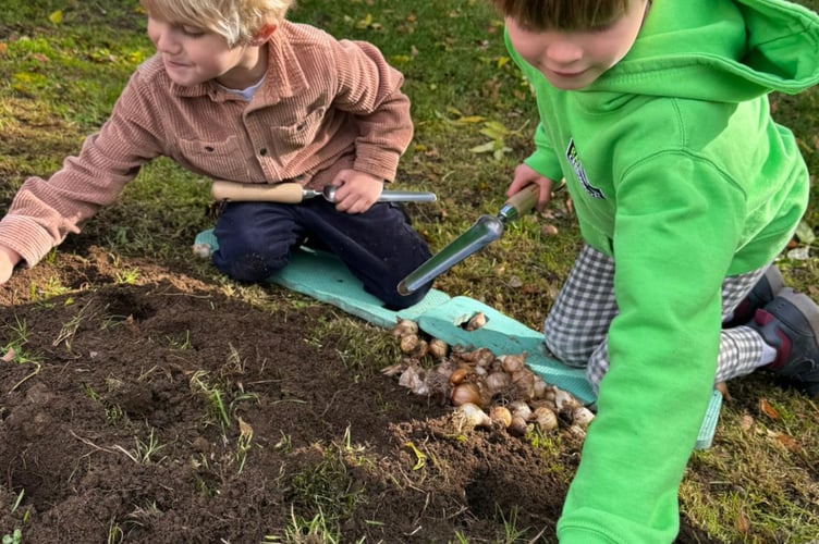 Residents help plant spring bulbs at Brunel Way, one of Frome’s newly acquired green spaces, as part of a town-wide planting campaign.