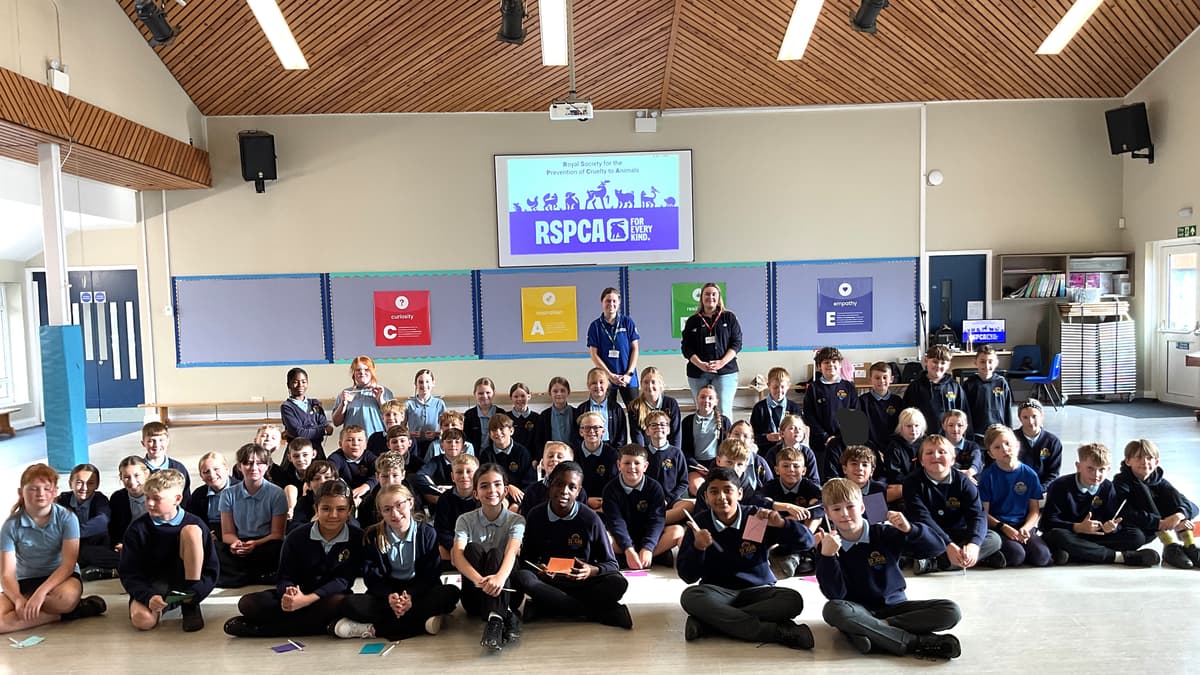 RSPCA visits Peasedown St John School to teach kindness to animals