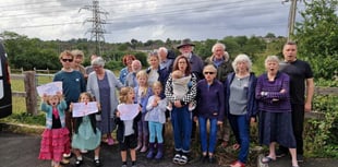 Battery site approved after appeal