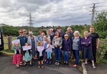 Planning appeal overturns battery site block