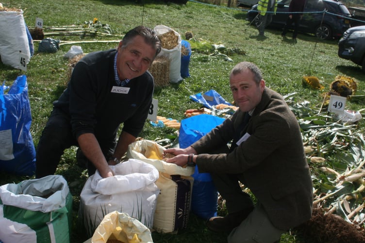 The fodder judges hard at working during the Mendip Ploughing Match