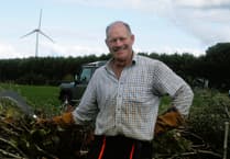 Conditions were "near perfect" for Mendip Ploughing Match