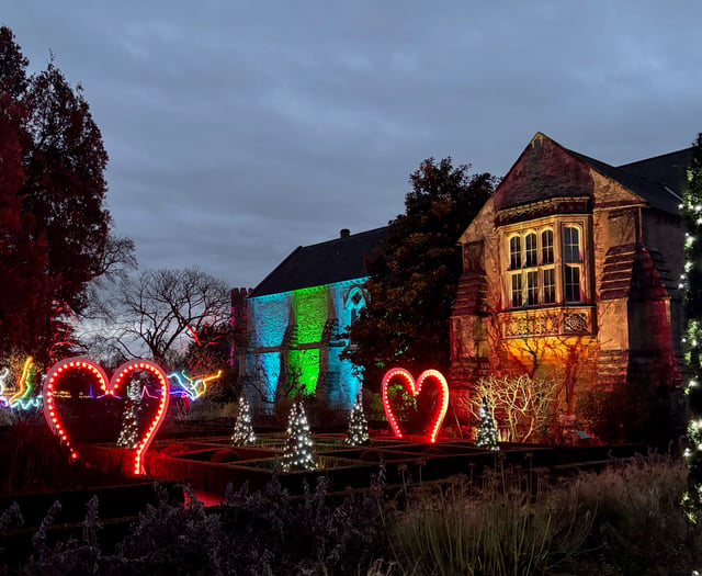 'Sparkle' garden illuminations take centre stage this Christmas season
