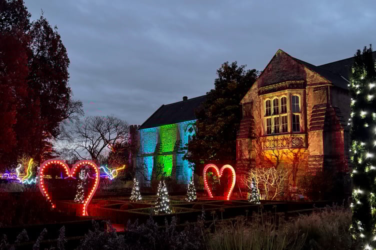 The popular Christmas garden illuminations will return. (Picture: Katy Love)