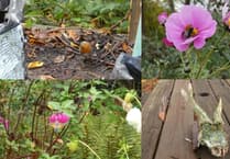 Storm Claudia floods and a bumper harvest