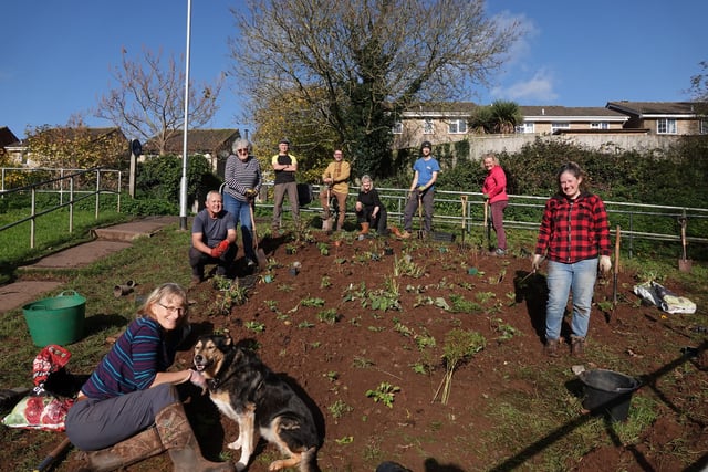 Community garden blooms