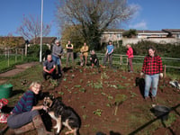 Community garden blooms