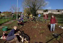 Discover the new community garden in Midsomer Norton