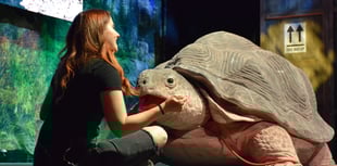 Life sized animal puppets return for show