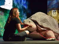 Life sized animal puppets return for show