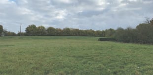 New homes approved despite local objections