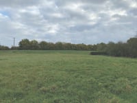 New homes approved despite local objections