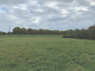 New homes approved despite local objections