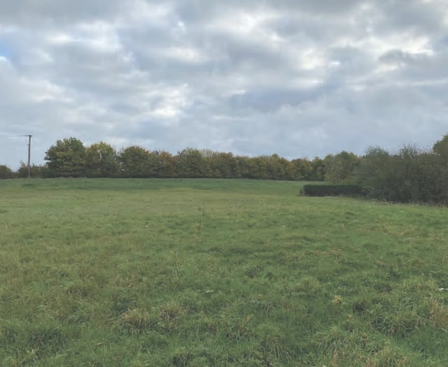 New homes approved despite local objections