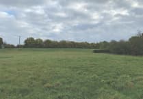 New homes approved despite local objections