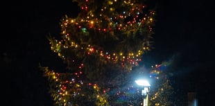 Westfield kicks off festive season with lights switch on