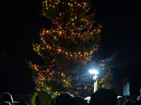 Westfield kicks off festive season with lights switch on