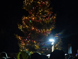 Westfield kicks off festive season with lights switch on