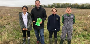 Pupils help create new forest and produce promotional film