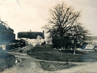 Can you guess this week's Mystery Photograph?