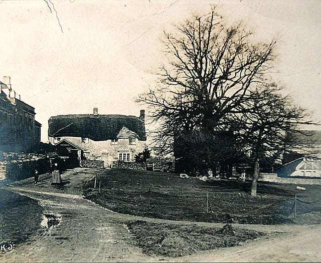 Can you guess this week's Mystery Photograph?