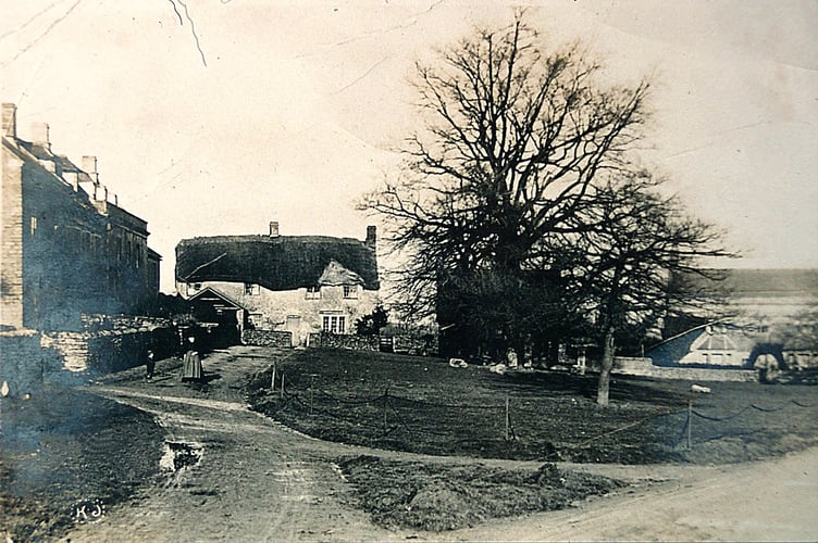 Last week’s Mystery Photograph was identified as Falkland Green.