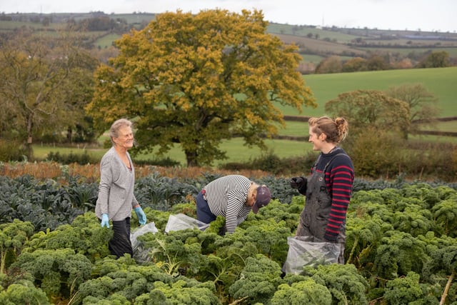 Five-hundred donors secure farm's future