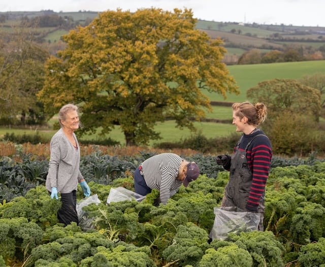 Five-hundred donors secure farm's future